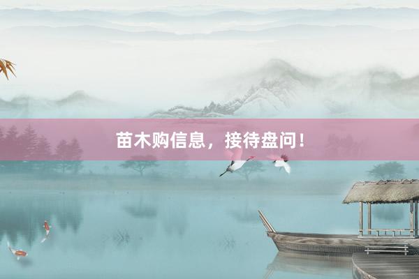 苗木购信息，接待盘问！