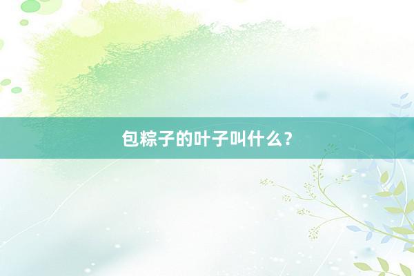 包粽子的叶子叫什么？